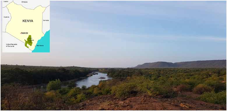 Tsavo Kenya Tsavorit